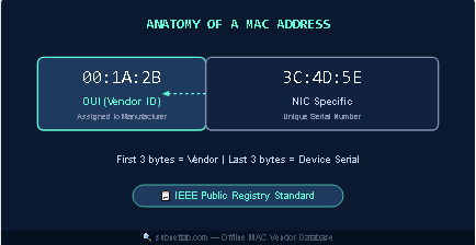 What Makes Offline MAC Vendor Lookup Possible