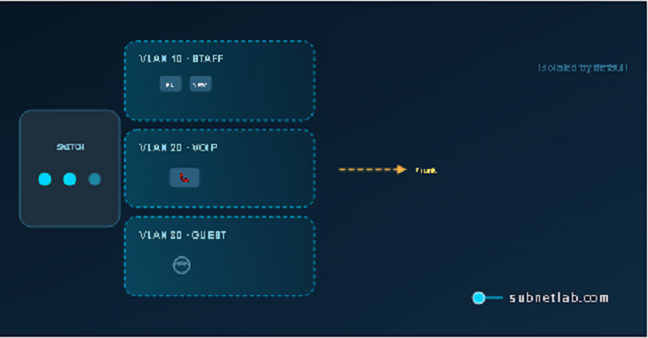 vlan-basic-guide