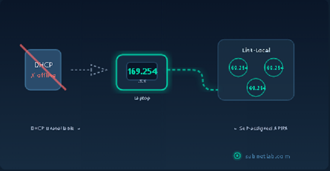 APIPA Address Explained (169.254.x.x)